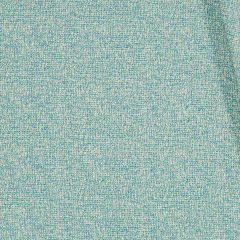 Robert Allen Sunbrella Rough Time Robin's Egg Essentials Collection Upholstery Fabric