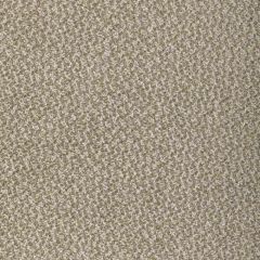 Kravet Sunbrella Pebbly Barley 4897-106 by Barbara Barry Ojai Collection Drapery Fabric