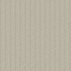 Sunbrella Momento Dove 42105-0003 Perspectives Collection Upholstery Fabric
