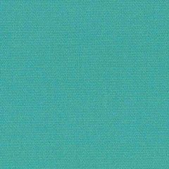 Remnant - Sunbrella Aruba 6012-0000 60-Inch Awning / Marine Fabric (4.79 yard piece)