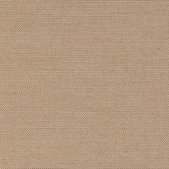 Sunbrella Exhale Driftwood 400001-0005 Elements Collection Upholstery Fabric