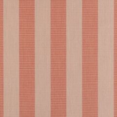 Sunbrella Expressive Blush 14123-0000 Upholstery Fabric