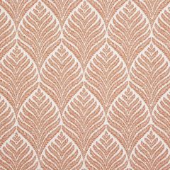 Sunbrella Linnaeus Clay 146101-0004 Elements Collection Upholstery Fabric