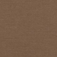 Sunbrella Play Mocha 40616-0004 Elements Collection Upholstery Fabric