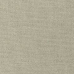 Sunbrella Play Sage 40616-0007 Elements Collection Upholstery Fabric