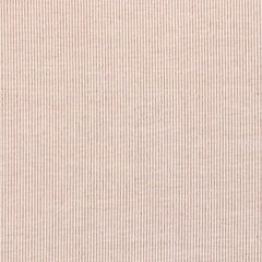 Sunbrella Replay Clay 40621-0005 Upholstery Fabric