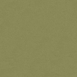 Buy Kravet Sunbrella Sage 34238-30 Upholstery Fabric by the Yard